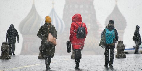 Москвичей предупредили о мокром снеге и порывистом ветре в ближайшие часы