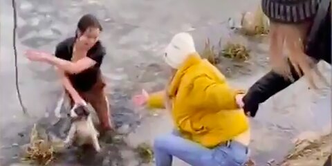 Мать троих детей из Мытищ прыгнула за собакой в ледяную воду