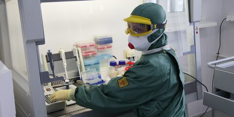 Эксперты оценили новый способ уничтожения коронавируса от российских ученых