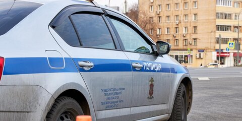 Полиция задержала подозреваемого в нападении с ножом в Москве