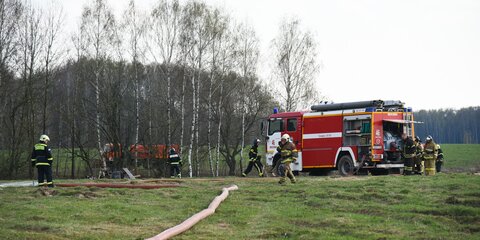 Глава МЧС предложил усилить наказание за возникновение лесных пожаров
