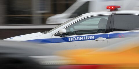 В полиции прокомментировали нападение на москвичку возле метро 