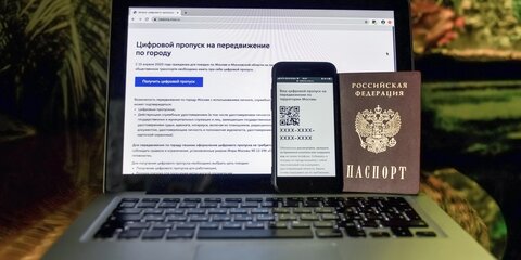 Власти Москвы назвали порядок восстановления аннулированных рабочих пропусков
