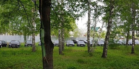 Челябинские власти объяснили, откуда в лесу взялись 50 правительственных машин