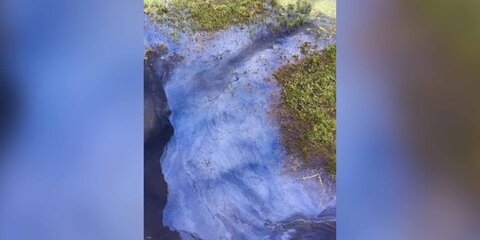 Грязевое пятно обнаружили на реке в подмосковной Шатуре