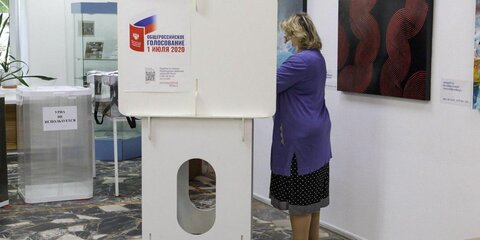 Общероссийское голосование в Москве можно признать легитимным – МГИК