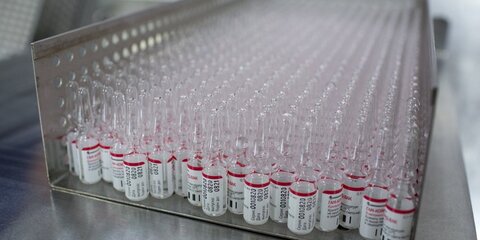 Путин сообщил, что Белоруссия одной из первых получит российскую вакцину от COVID-19