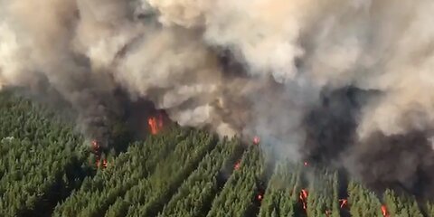 Площадь природных пожаров в Ростовской области выросла почти вдвое