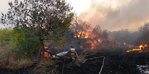 Площадь лесных пожаров в Ростовской области выросла до 170 гектаров