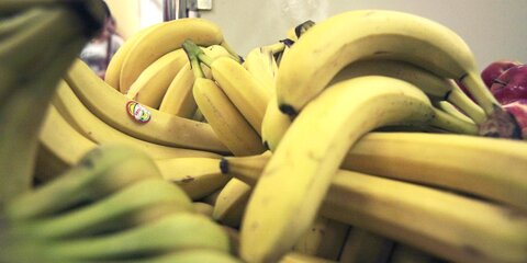Миру предрекли дефицит бананов – СМИ