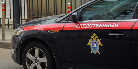 Завершено расследование дела молодых людей, избивших пешехода в Москве