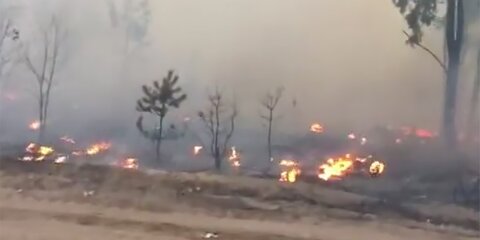 Два ландшафтных пожара ликвидировали в Воронежской области