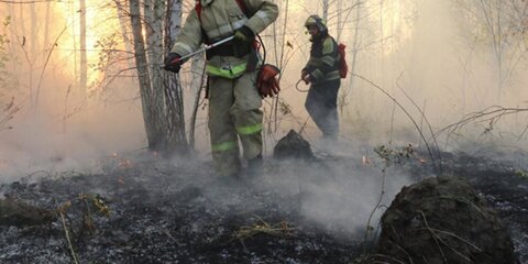 Россиян обяжут сообщать о поджогах в лесах с 2021 года