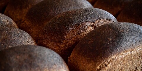 Диетолог рассказала, какой хлеб самый полезный для организма человека