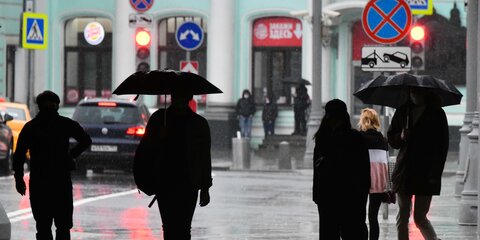 Москвичей предупредили о дожде и порывистом ветре в пятницу