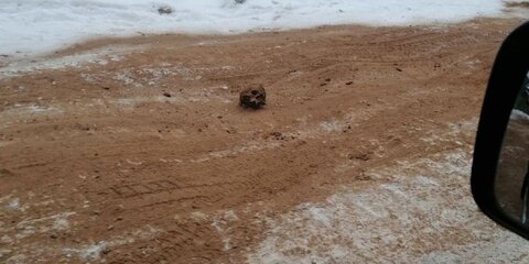 Полиция проверяет информацию о дороге, которую посыпали песком с человеческими костями