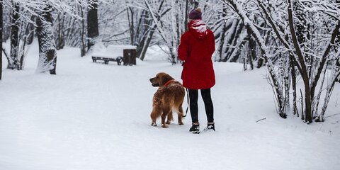 Синоптики рассказали, каким будет первый день зимы в Москве