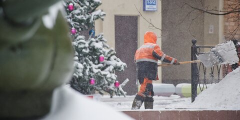 Городские службы в Москве будут работать в усиленном режиме в новогодние дни