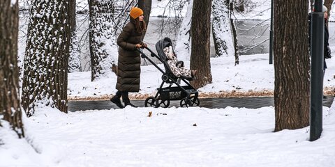 Семьям с детьми до 7 лет выплатят по 5 тыс рублей к Новому году
