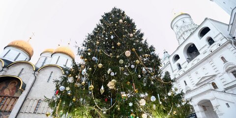 Главную новогоднюю елку украсили на Соборной площади