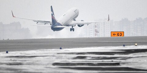 Полеты возобновлены с обеих ВПП аэропорта Домодедово