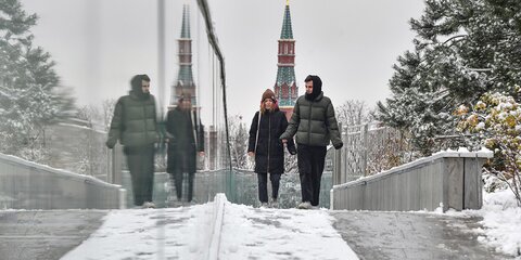 Онлайн-лекции, коньки и лыжи: как будут работать парки Москвы в новогодние каникулы