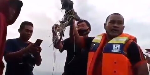 Власти Индонезии рассказали о падении самолета в Яванское море
