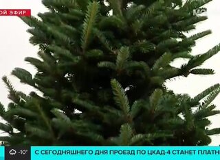 Новый Год Самое Подходящее Новый Год Самое Подходящее