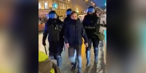 Хинштейн отозвал запросы по поводу полицейского, ударившего женщину на акции в Петербурге