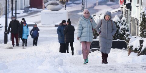 Синоптик спрогнозировал пик холодов в Москве