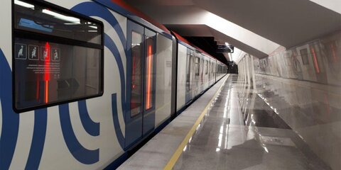 Власти Москвы рассказали, когда рассмотрят вопрос о соединении желтой ветки метро