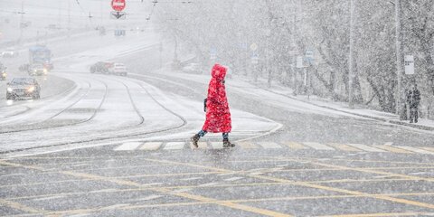 Синоптики предупредили москвичей о приближении снежного апокалипсиса