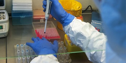 Эксперты объяснили, почему в Великобритании находят новые штаммы коронавируса