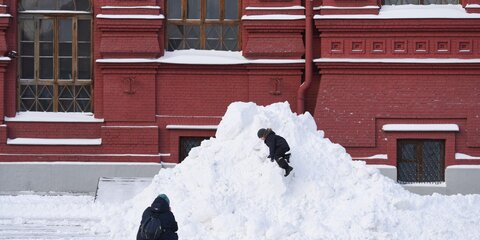 Сугробы в Москве выросли до 40 см за ночь из-за снегопада