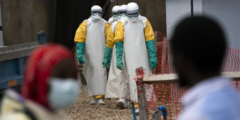 Вирусолог оценил вероятность появления лихорадки Эбола в России