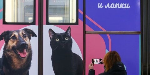 Дептранс запустил конкурс фотографий поезда метро 