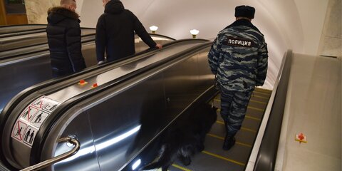 Гранаты для страйкбола изъяли у угрожавшего взрывом в метро Москвы