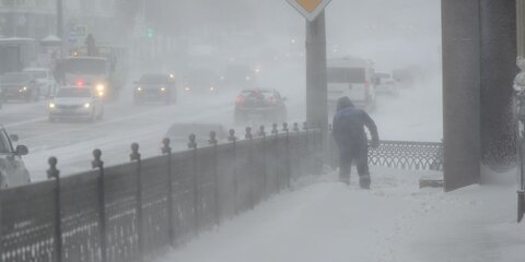 Россиянка насмерть замерзла по дороге от такси к дому