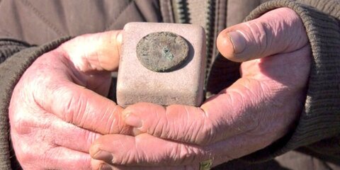 Канадец нашел древнеримскую монету во время прогулки в парке