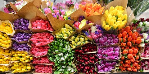 В Совфеде возмутились ценами на цветы перед 8 Марта