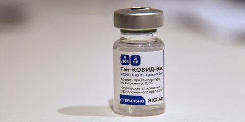 Гинцбург заявил, что в РФ не зафиксировано летальных случаев после прививки 