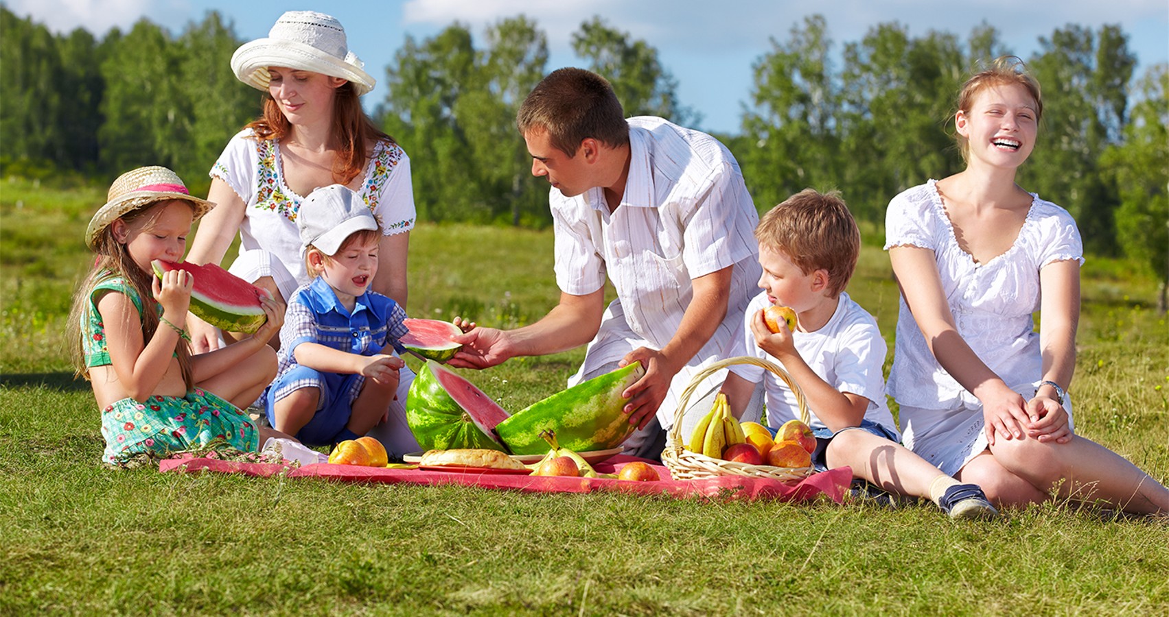Пикник маленький. Семья на пикнике. Семейный пикник. Семья пикник в парке. Пикник на траве с ребёнком всей семьей.