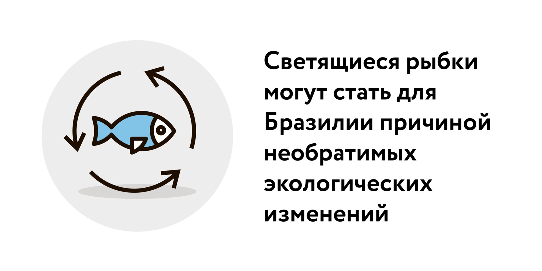 Ученые объяснили появление светящихся в темноте трансгенных рыбок в реках  Бразилии – Москва 24, 20.02.2022