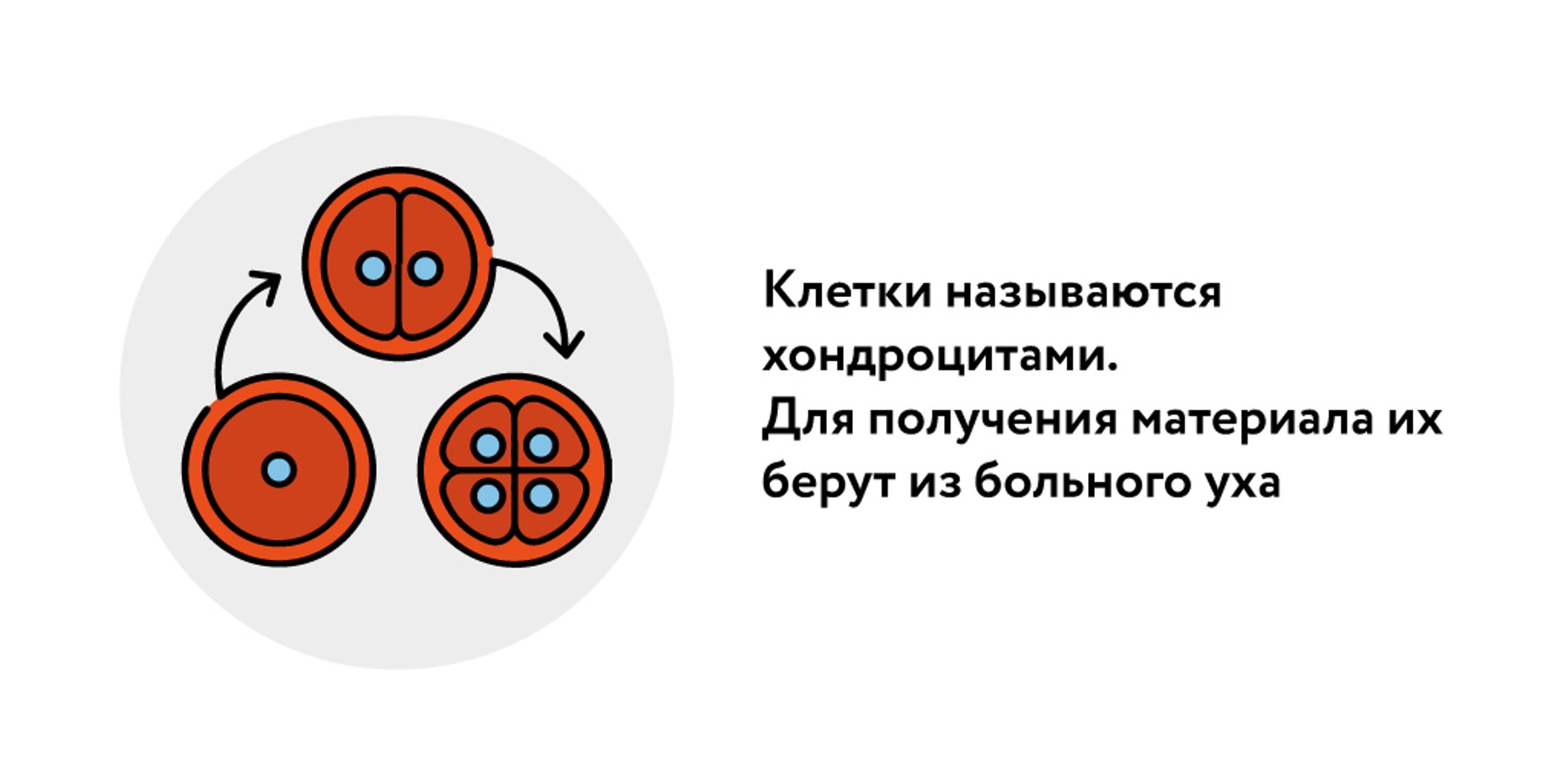 Ученые впервые напечатали протез уха из живых клеток пациента – Москва 24,  17.06.2022