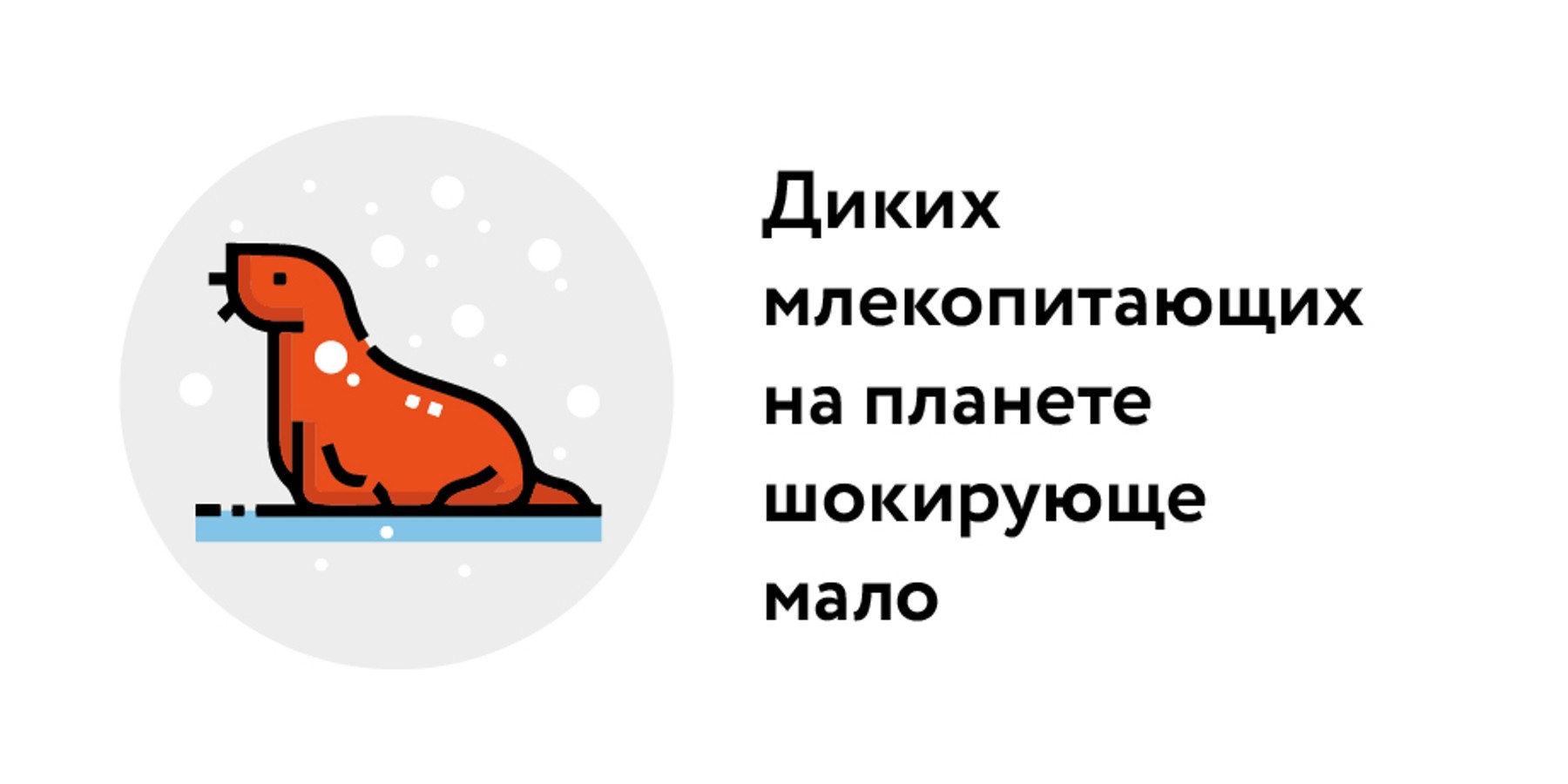 Расчет по порядку. Сколько всего млекопитающих живут на Земле – Москва 24,  03.03.2023