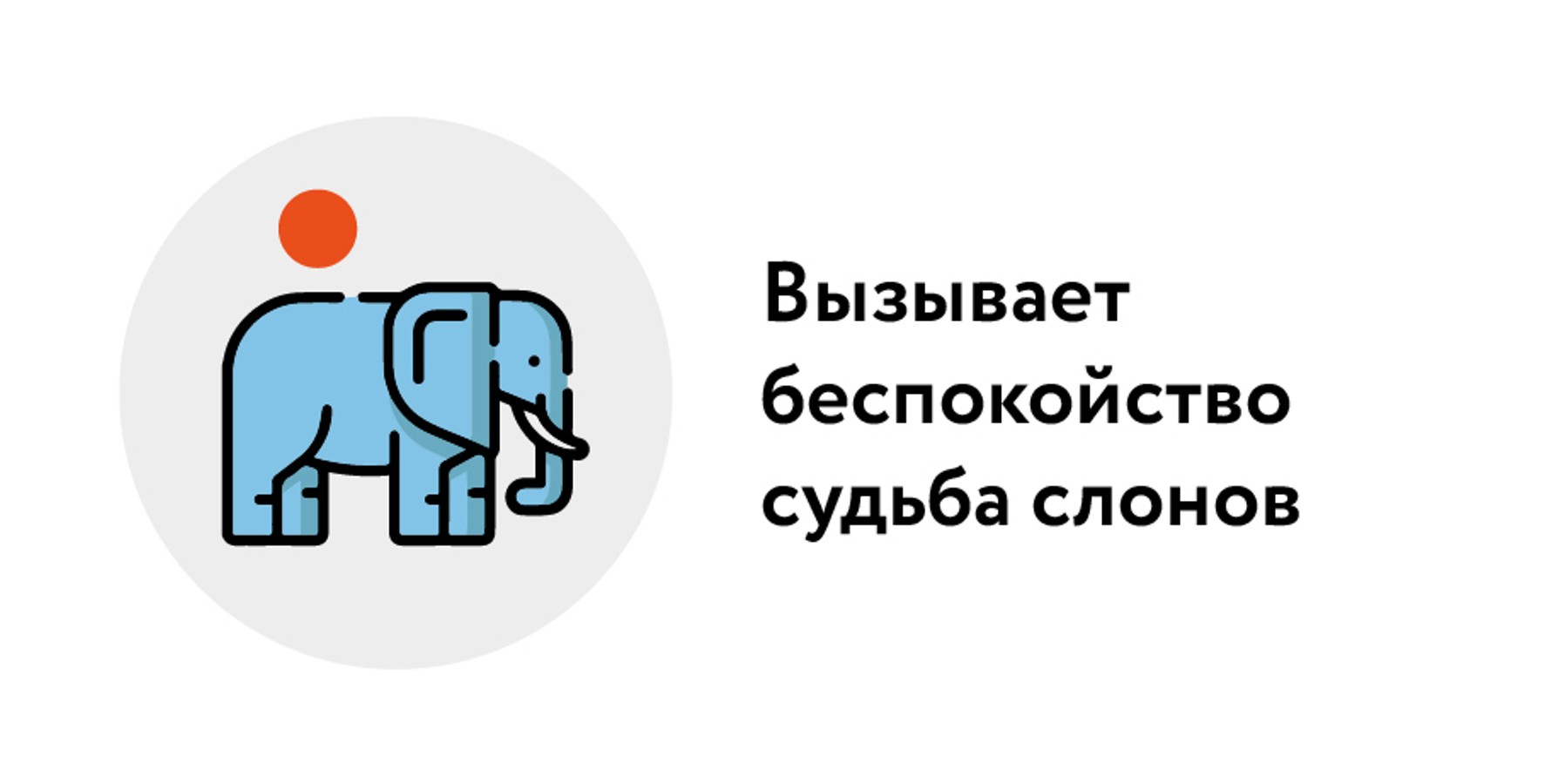 Расчет по порядку. Сколько всего млекопитающих живут на Земле – Москва 24,  03.03.2023