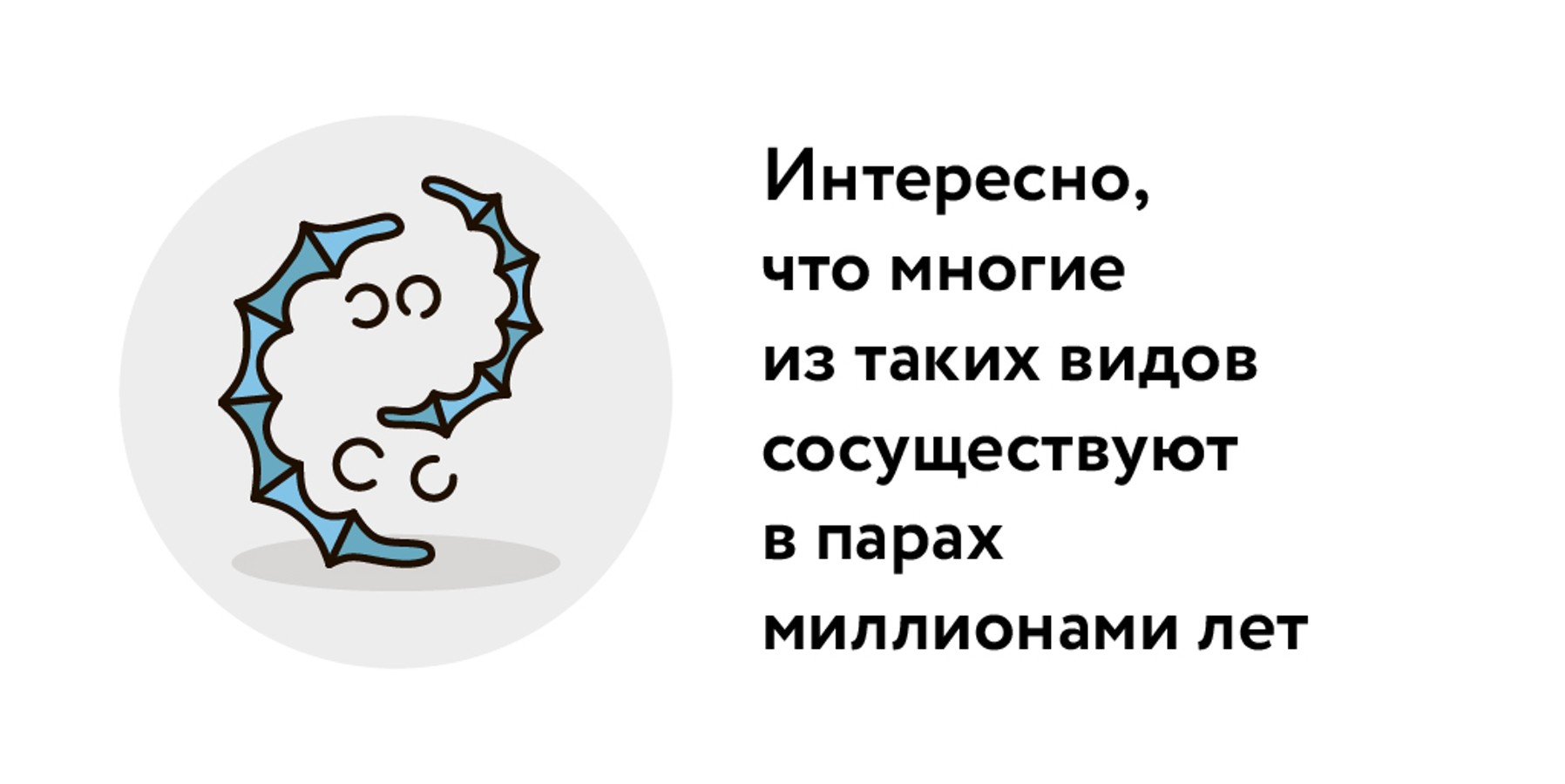 Руки прочь от нахлебников! Почему ученые требуют защитить паразитов –  Москва 24, 21.03.2023