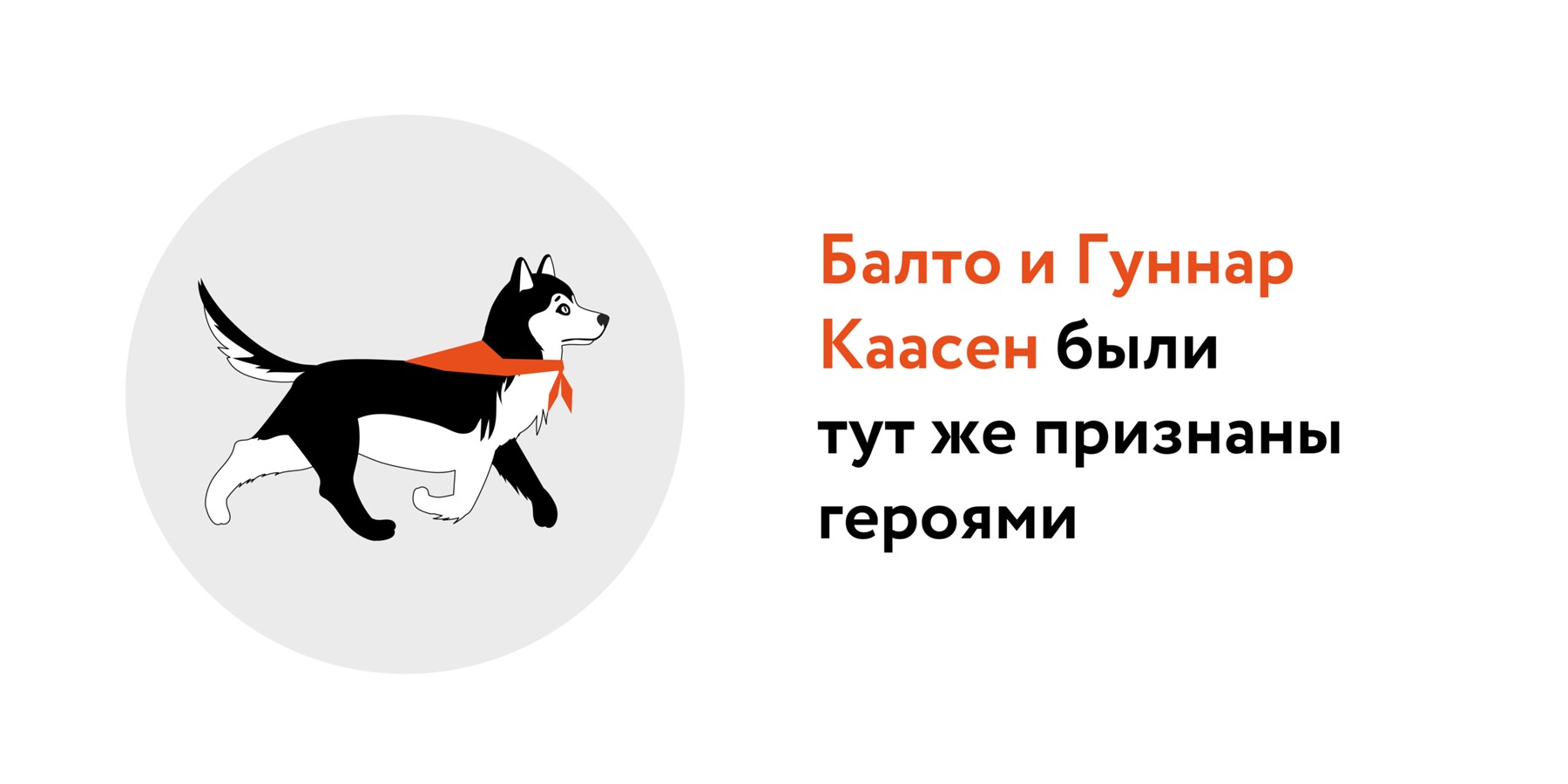 Уникальный пес: ученые выяснили, в чем особенность ДНК знаменитого Балто –  Москва 24, 03.05.2023