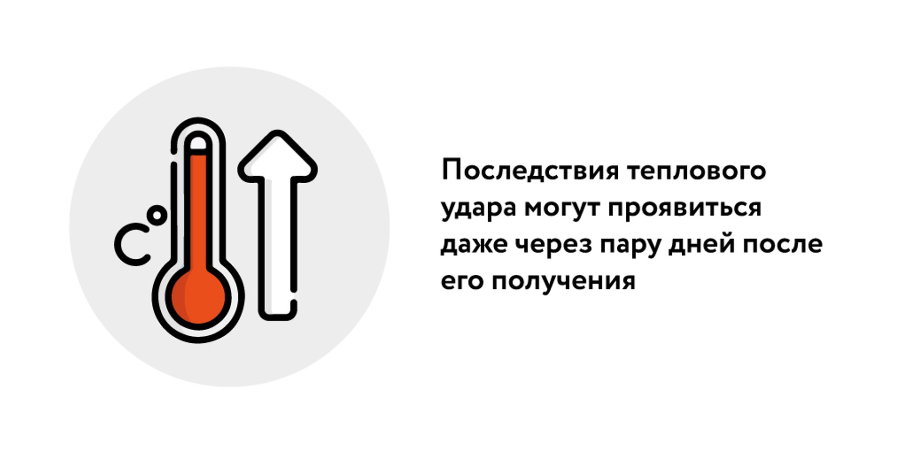 Главные шаги по оказанию первой помощи домашнему питомцу – Москва 24,  25.06.2023