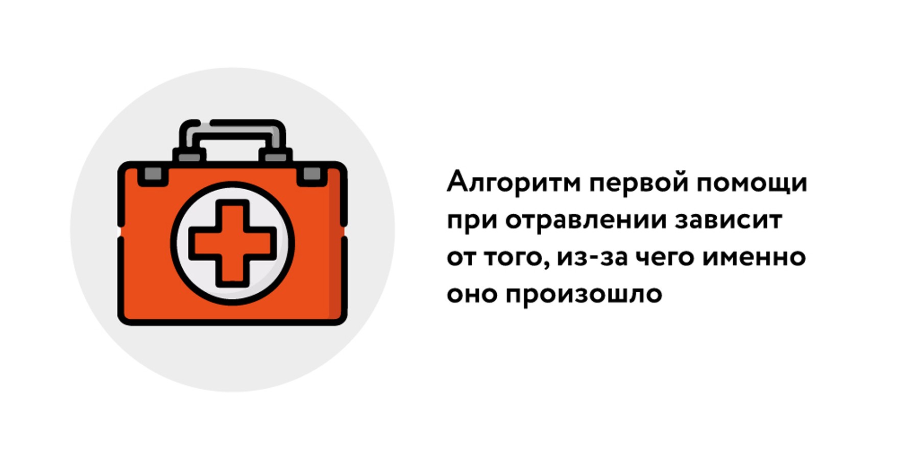 Главные шаги по оказанию первой помощи домашнему питомцу – Москва 24,  25.06.2023